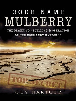 cover image of Code Name Mulberry